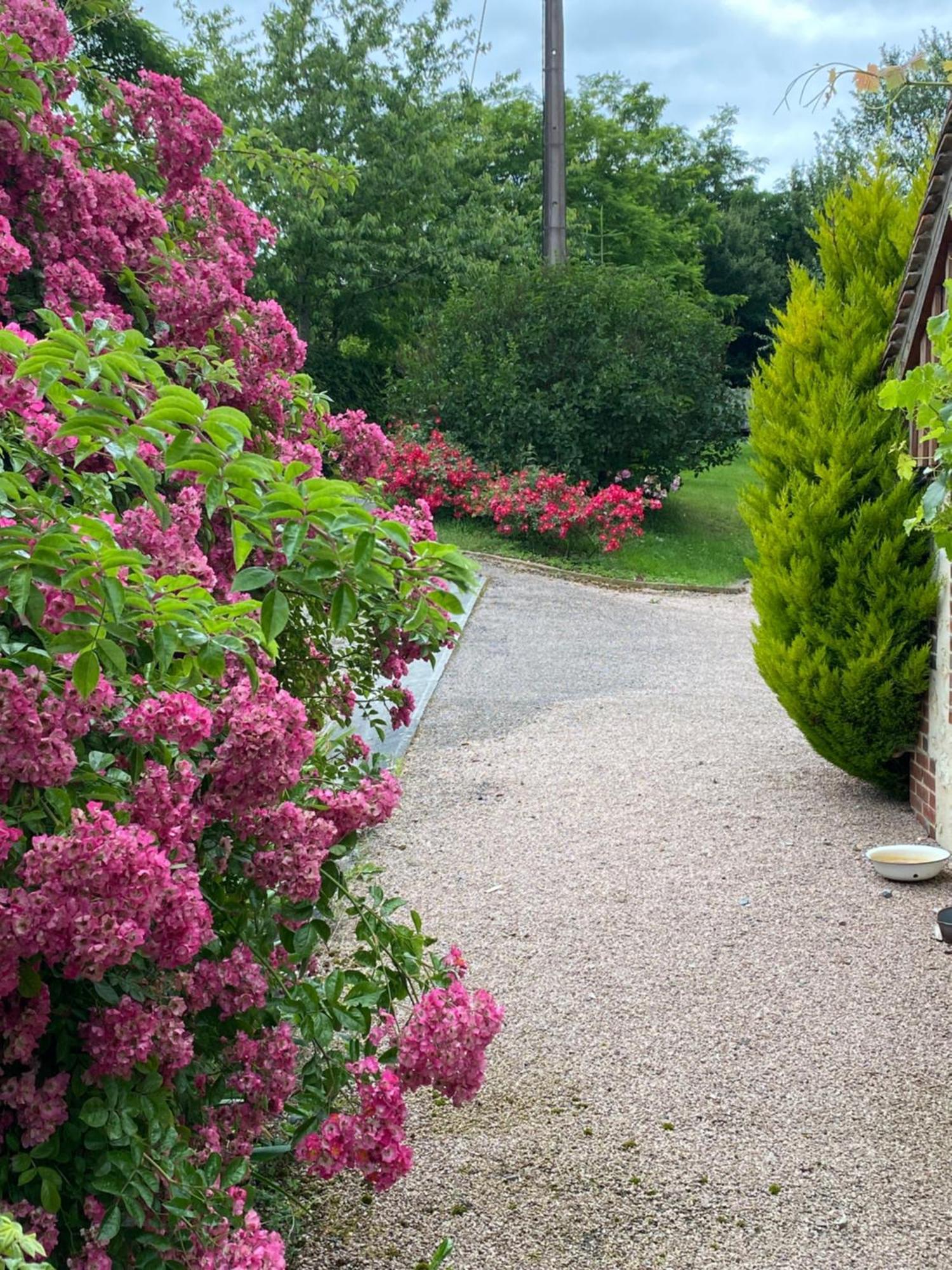 Chambre D'Hotes Du Domaine De La Haute Poignandiere Saint-Germain-de-la-Coudre ภายนอก รูปภาพ